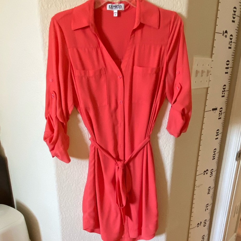 Express Button Down Dress